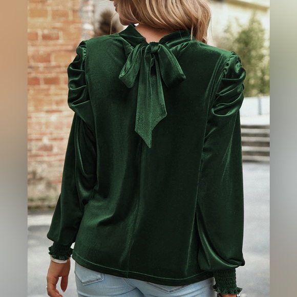 Tie Up Mock Neck Velvet Fabric Long Sleeve Blouse - Picture 2 of 12
